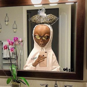 Meet your Posher, Kace